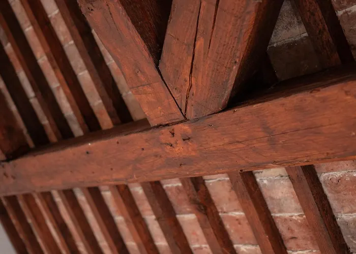 Baco Da Seta 4* Mestre