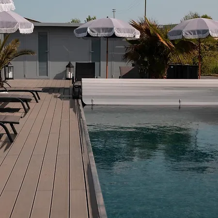 Baco Da Seta メストレ