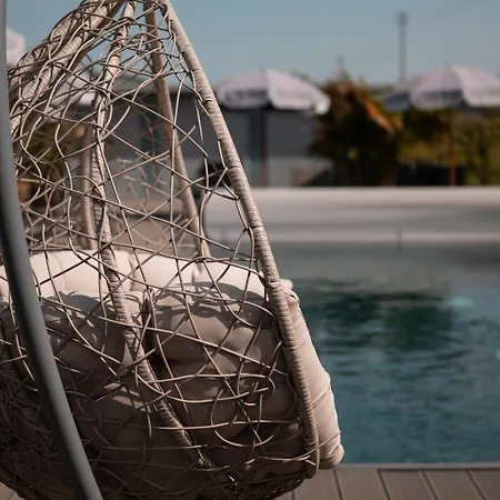 Baco Da Seta メストレ