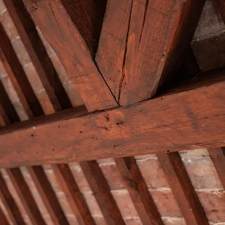 Baco Da Seta 4* Mestre